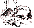 N�in runttasi Akavan lehti Akateeminen verotusta viel� 1959, mutta julkispuolen j�senet ovat sittemmin muuttaneet ��nt� kellossa.